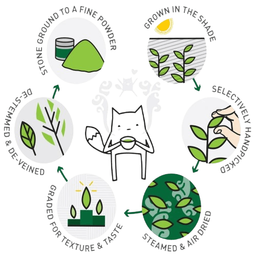 Friends enjoying matcha together in the office