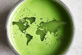 Friends enjoying matcha together in the office